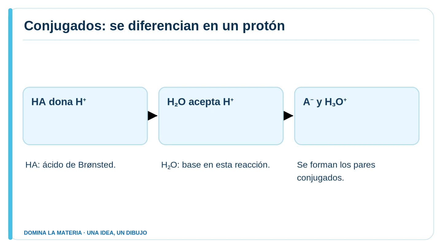 Conjugados: se diferencian en un protón. Descripción en el texto contiguo.