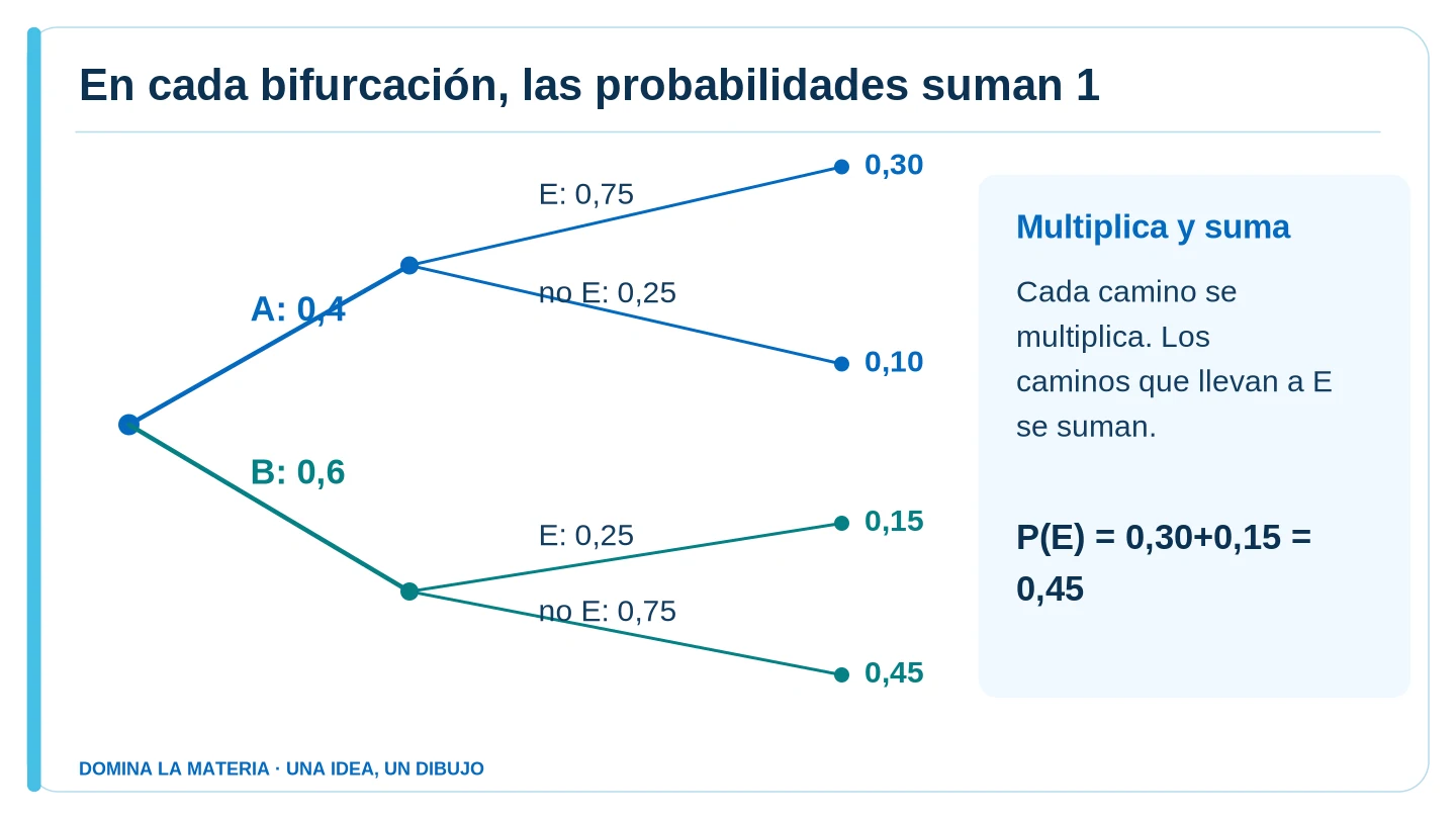 En cada bifurcación, las probabilidades suman 1. Descripción en el texto contiguo.