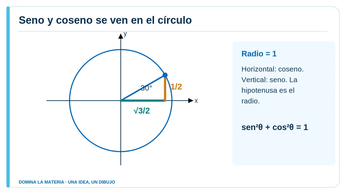 Seno y coseno se ven en el círculo. Descripción en el texto contiguo.