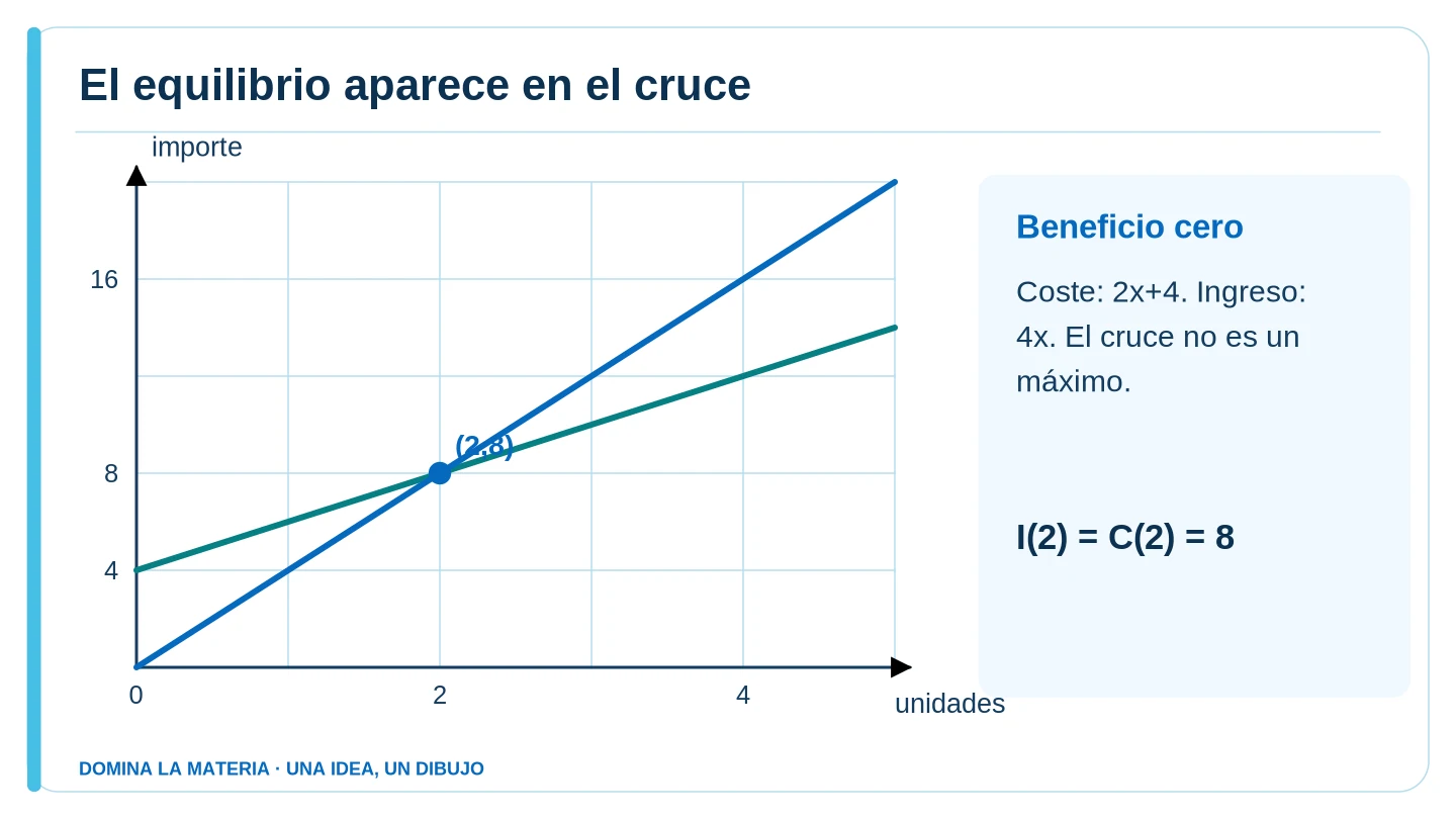 El equilibrio aparece en el cruce. Descripción en el texto contiguo.