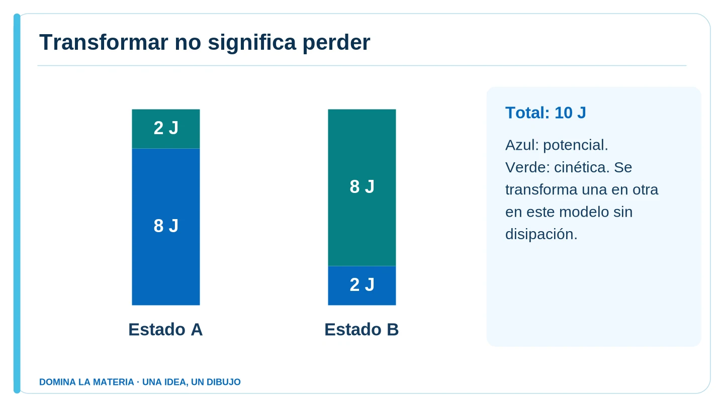 Transformar no significa perder. Descripción en el texto contiguo.