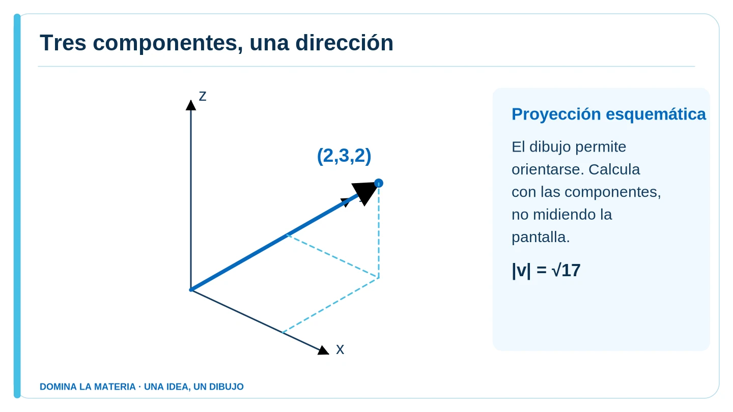 Tres componentes, una dirección. Descripción en el texto contiguo.