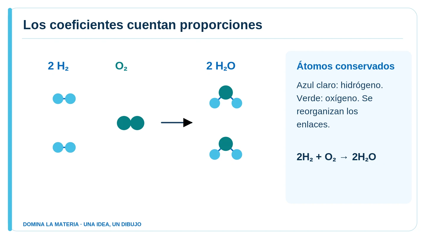 Los coeficientes cuentan proporciones. Descripción en el texto contiguo.