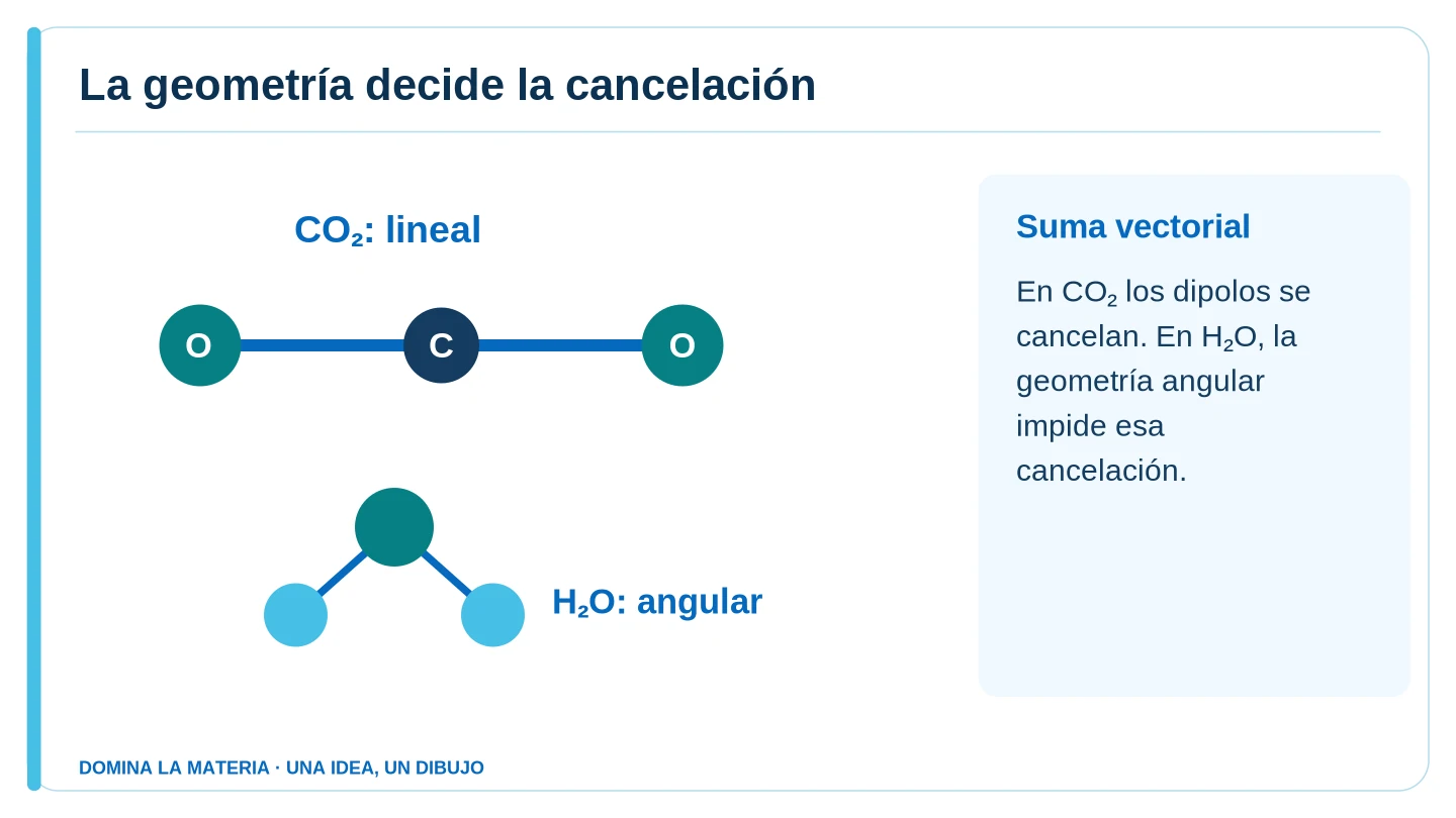 La geometría decide la cancelación. Descripción en el texto contiguo.