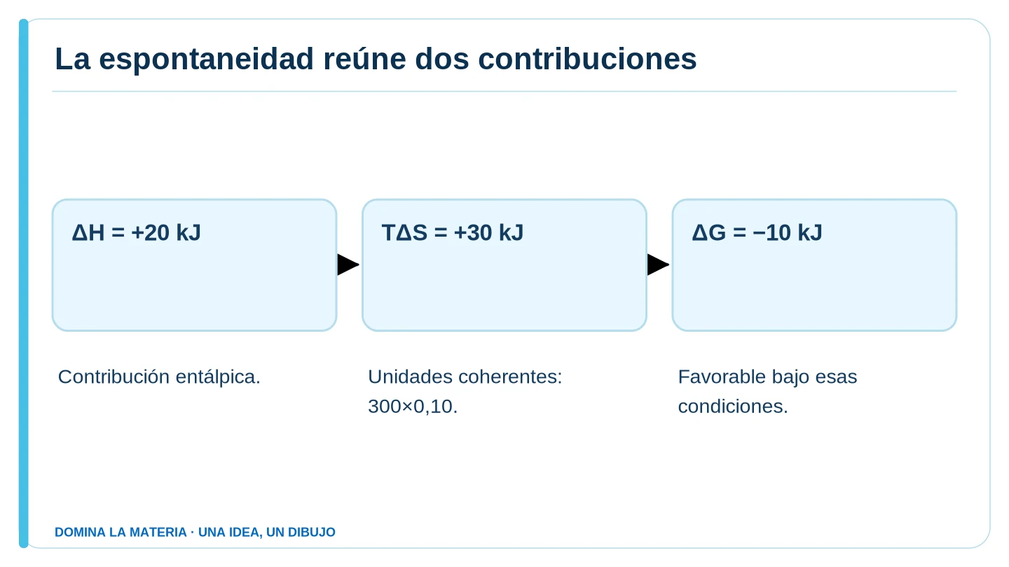 La espontaneidad reúne dos contribuciones. Descripción en el texto contiguo.