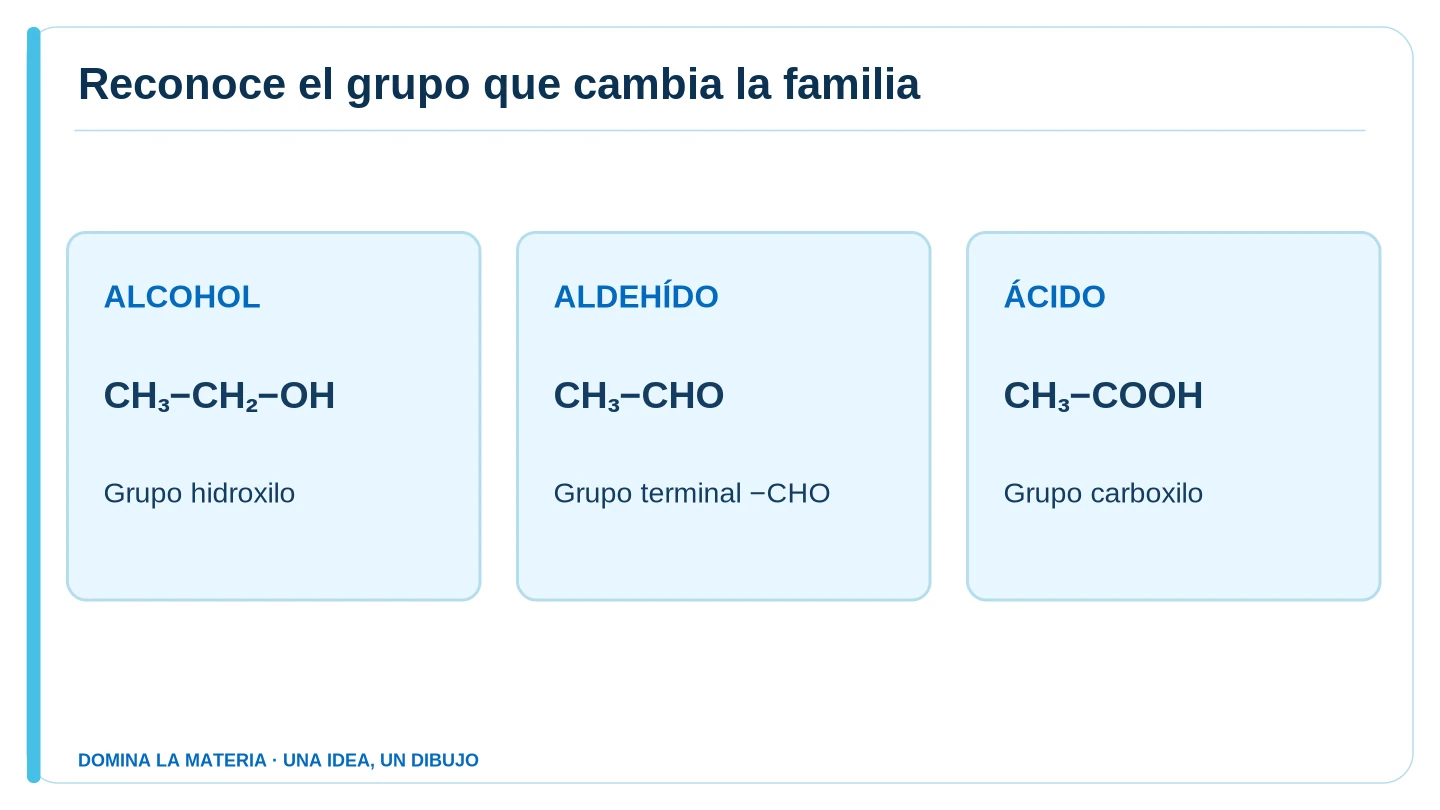 Reconoce el grupo que cambia la familia. Descripción en el texto contiguo.
