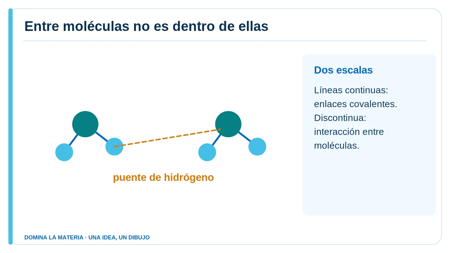 Entre moléculas no es dentro de ellas. Descripción en el texto contiguo.