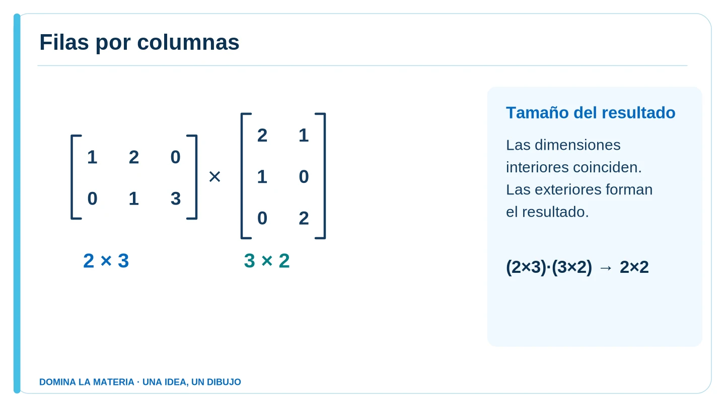 Filas por columnas. Descripción en el texto contiguo.