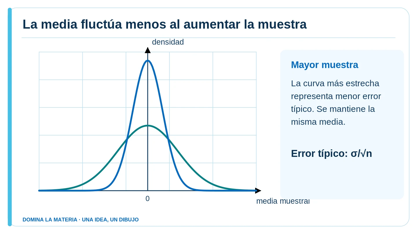 La media fluctúa menos al aumentar la muestra. Descripción en el texto contiguo.