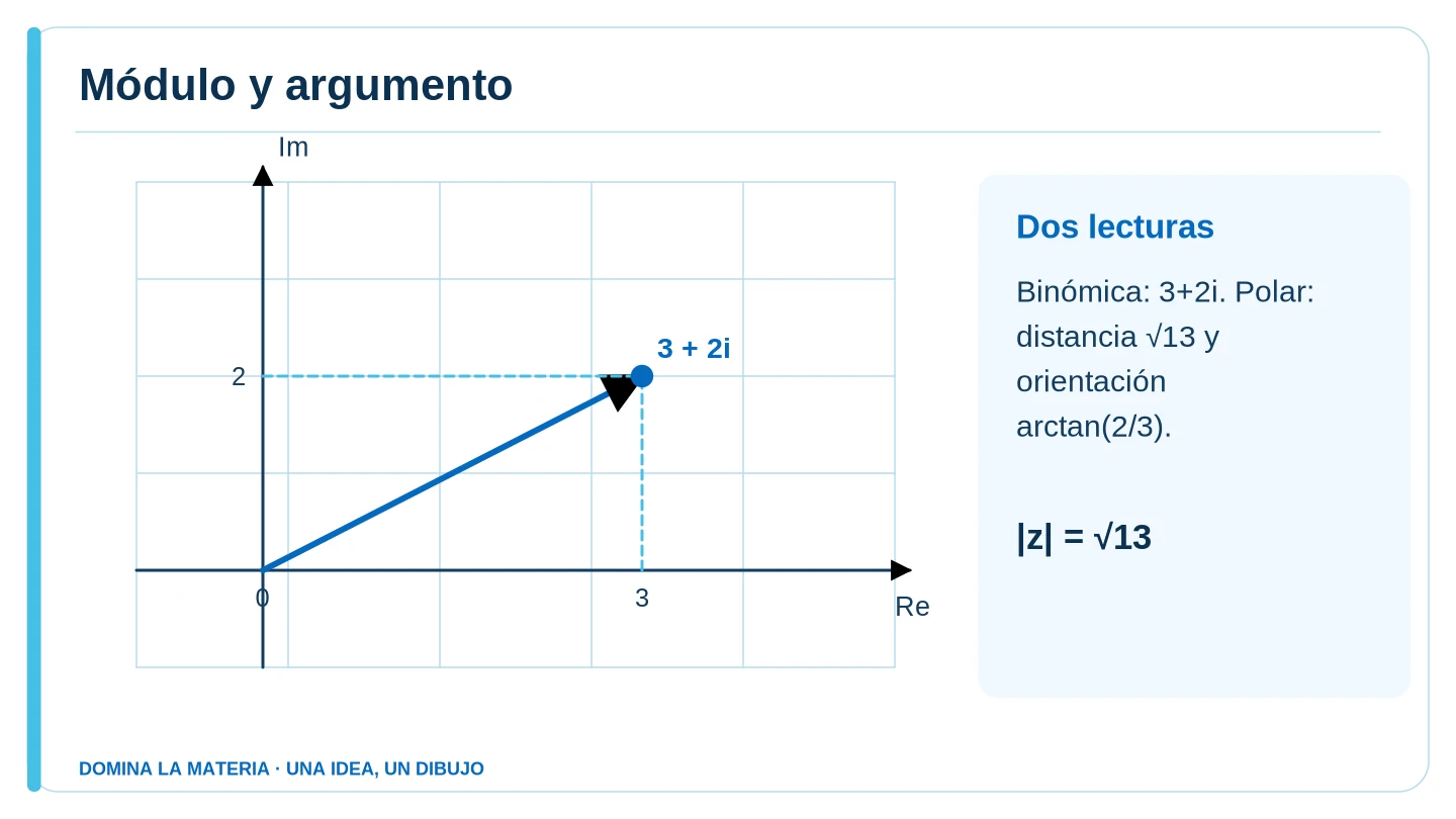 Módulo y argumento. Descripción en el texto contiguo.