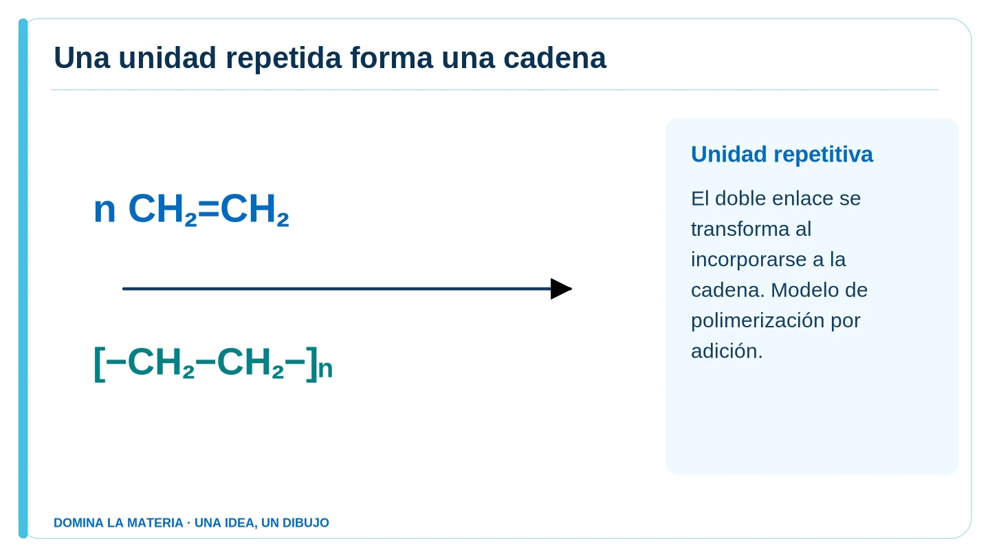 Una unidad repetida forma una cadena. Descripción en el texto contiguo.