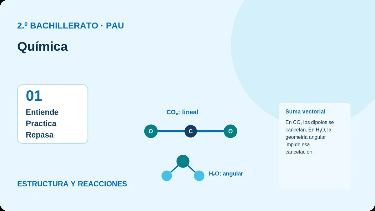 Ilustración de estructura y reacciones para Química.