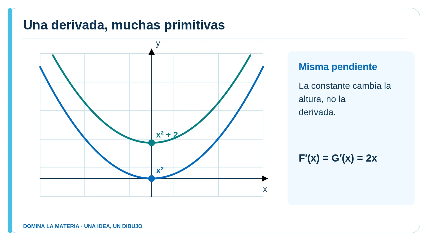 Una derivada, muchas primitivas. Descripción en el texto contiguo.
