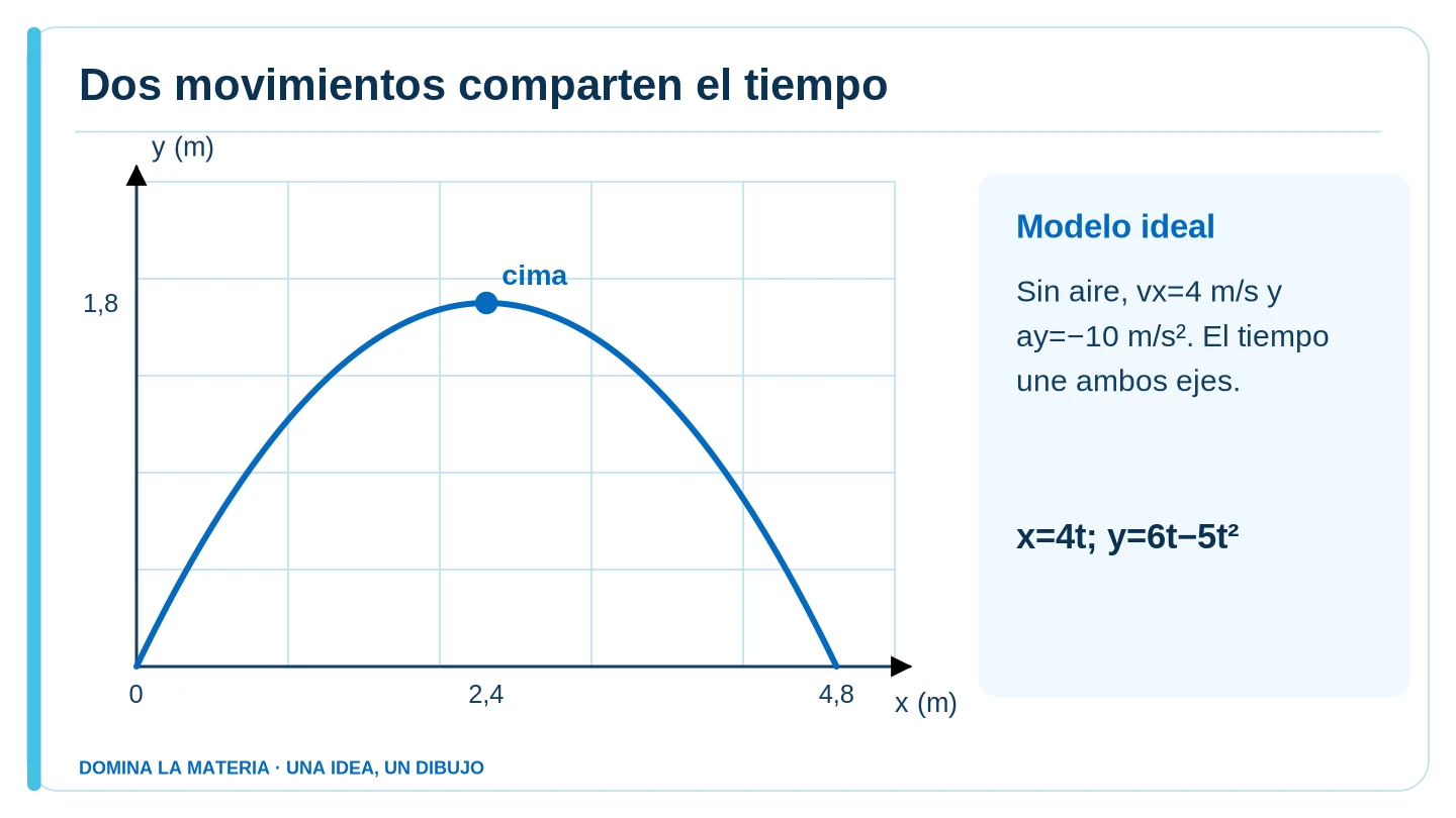 Dos movimientos comparten el tiempo. Descripción en el texto contiguo.