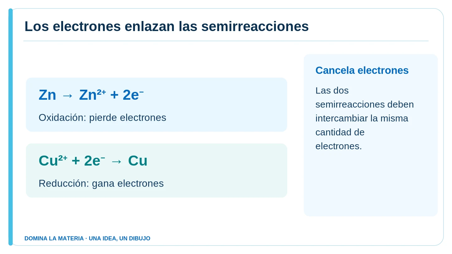 Los electrones enlazan las semirreacciones. Descripción en el texto contiguo.